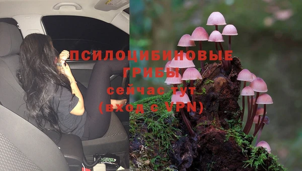 синтетический гашиш Медвежьегорск