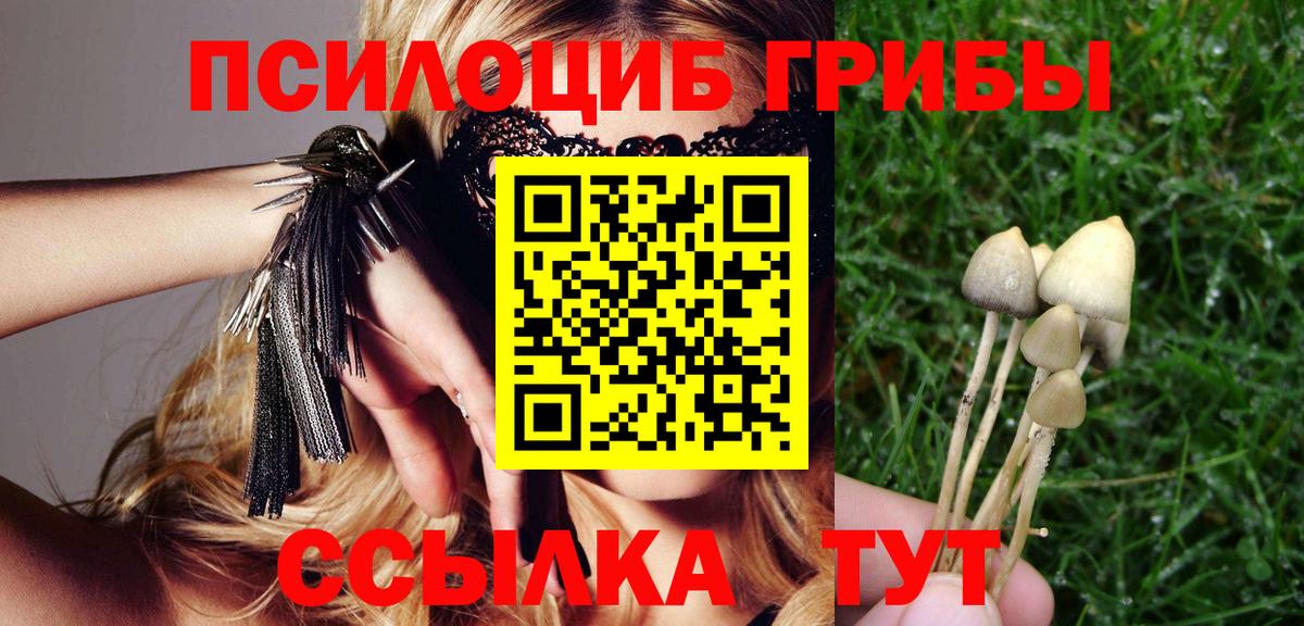 Белая Калитва  Галлюциногенные грибы ЛСД  Вход с VPN  магазин  наркотиков  Псилоцибиновые грибы ЛСД 