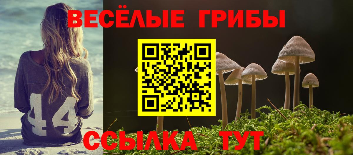 Псилоцибиновые грибы GOLDEN TEACHER Белая Калитва